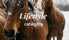 Lifestyle